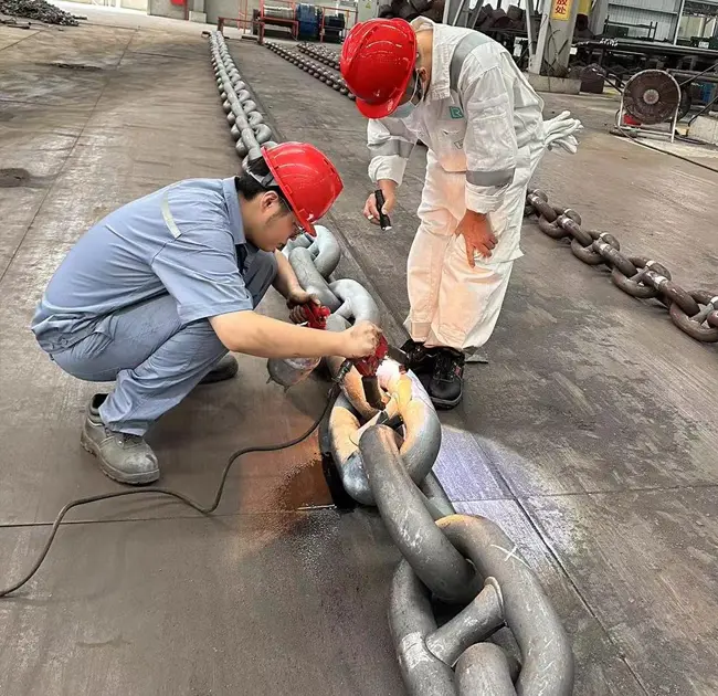 海洋世界的“钢生命线”